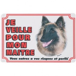 1 Plaque de garde Tervuren 