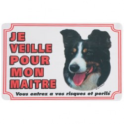 1 Plaque de garde Border Collie