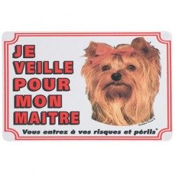 1 Palque de garde Yorshire Terrier 