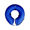 1 Collerette  1 Collerette