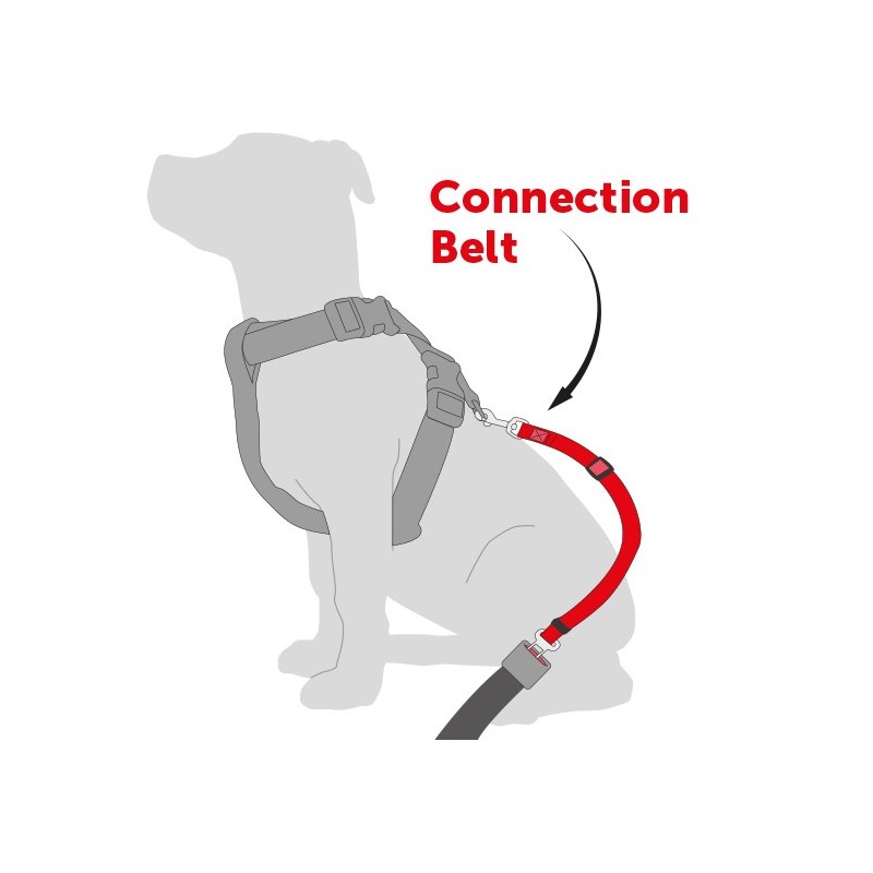 Laisse pour ceinture de securite pour chien