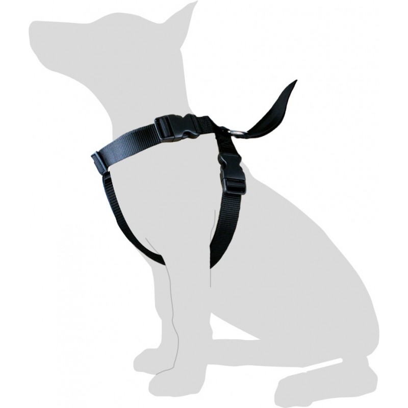 Ceinture De Sécurité Pour Chien Chat Laisse Voiture Noir à Prix