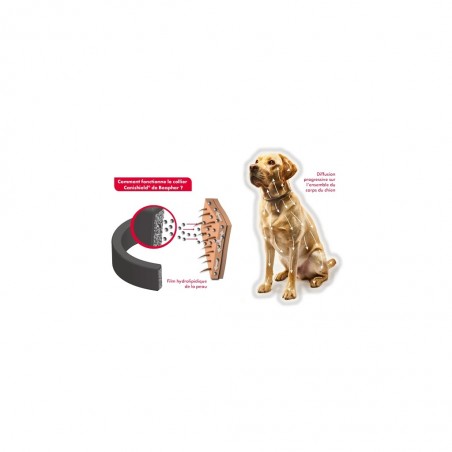 Canishield collier antiparasitaire petit & moyen chien