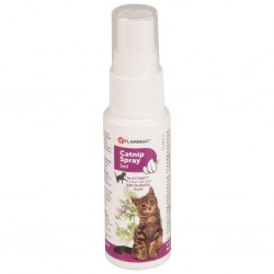 Attractif catnip pour chat