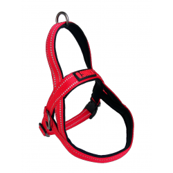 Harnais Kong rouge