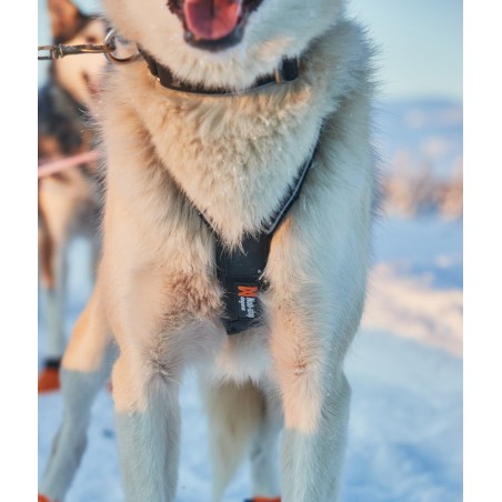 Harnais Nansen Nome 5.0