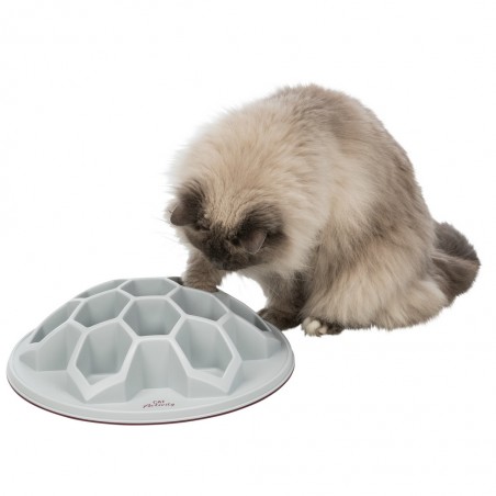 Jeu Cat Activity pour chats.