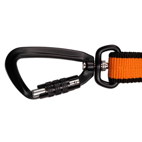 Bungee Leash