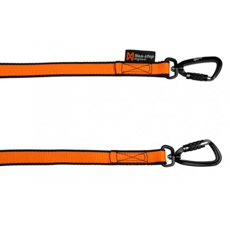 Bungee Leash double