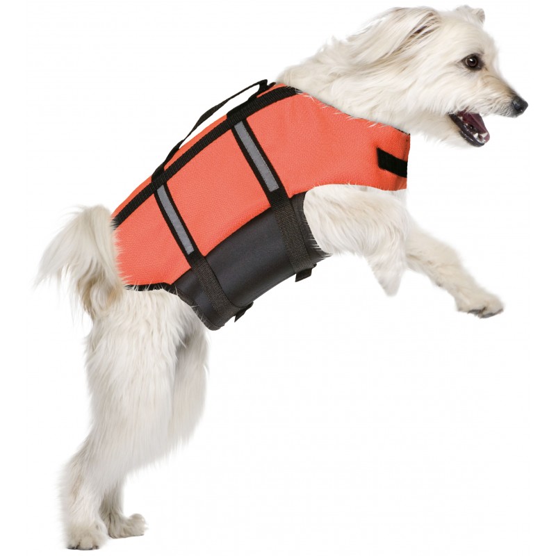 gilet baignade chien