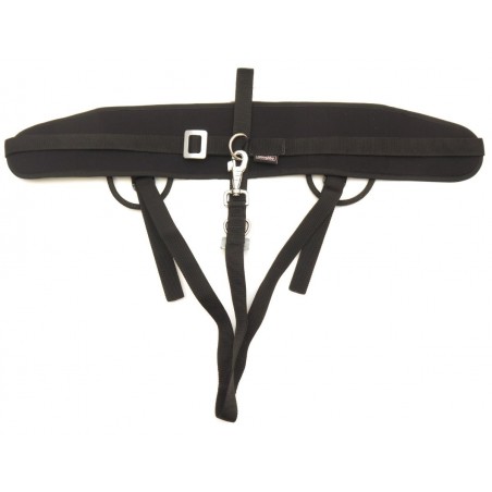 Ceinture de ski