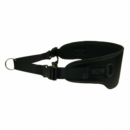 Ceinture Canicross Trek color