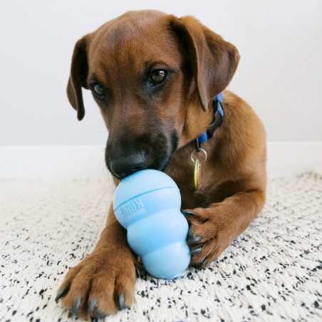 Kong snack pour chiot