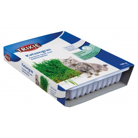 Herbe à chat - Digestion