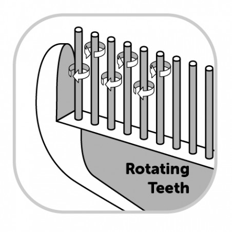 Etrille double rangée pour sous-poil à dents rotatives