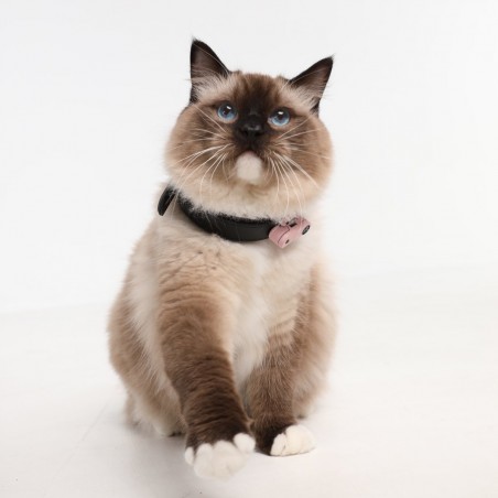 TICKLESS ultrason Mini Cat