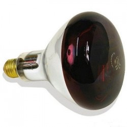 1 Ampoule infrarouge pour lampe chauffante