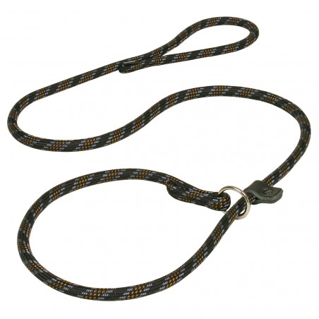 2 Laisse lasso Mountain pour chien 