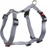 Harnais Nylon Art Sportiv Plus Gris