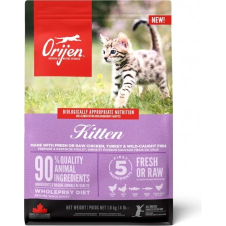 Croquettes Orijen chat Kitten