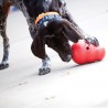 2 Kong Wobbler 2 Kong Wobbler