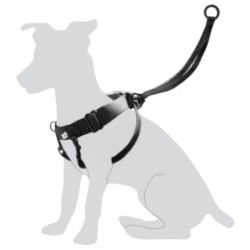 Harnais Easy Walker Gentle Control pour chien