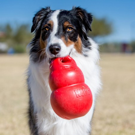 2 Kong Bounzer rouge