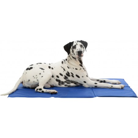 Tapis Rafraîchissant pour chien & chat