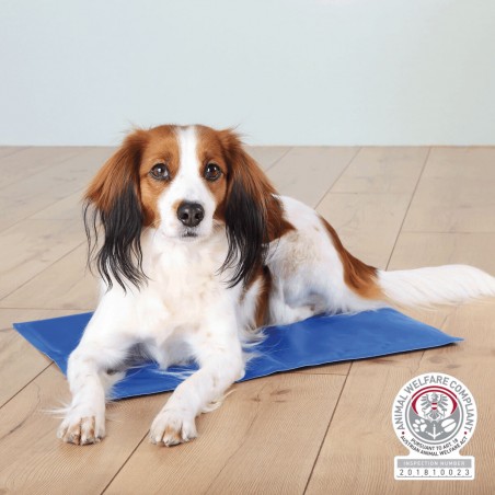 Tapis Rafraîchissant pour chien & chat