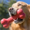 2 Kong Goodie bone 2 Kong Goodie bone