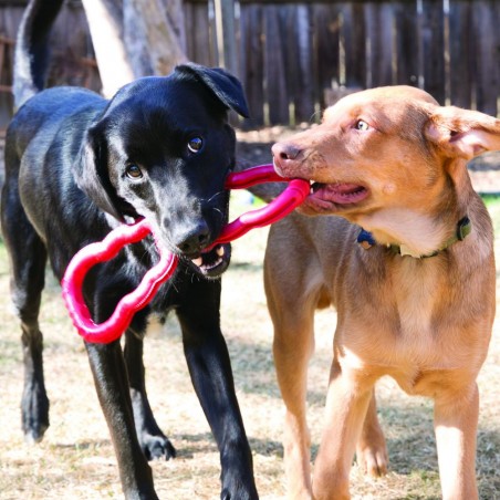 2 Kong Tug Toy 