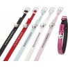 Collier Monte Carlo pour chat Collier Monte Carlo pour chat