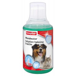 Solution haleine fraîche 250ml