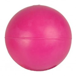 Balle dure pour chien