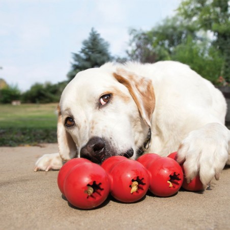 2 Kong Ribbon classic