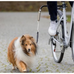 Set de vélo pour chien