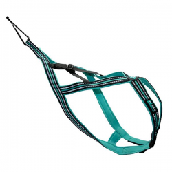 harnais cani gear olympia