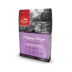 1 Croquettes Orijen Puppy & Large Breed