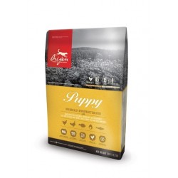 1 Croquettes Orijen Puppy 