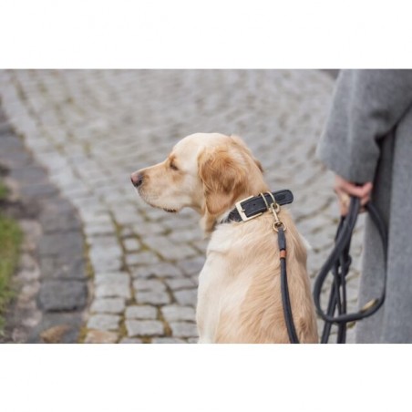 Collier en cuir nubuck de la marque trixie