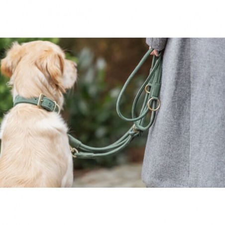 Laisse en cuir nubuck de la marque trixie