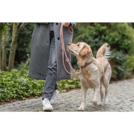 Laisse en cuir nubuck de la marque trixie