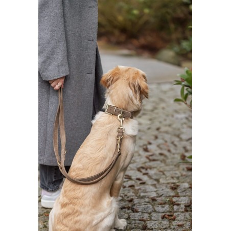 Laisse en cuir nubuck de la marque trixie