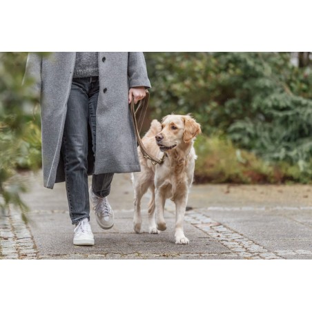 Laisse en cuir nubuck de la marque trixie