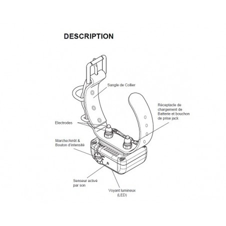 3 Collier anti-aboiement YS300 