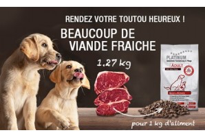 Croquettes Platinum semi-humide