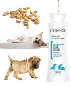 biogancebrillance.jpg