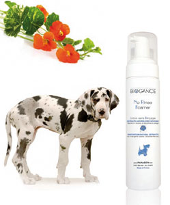 biogancemousse.jpg