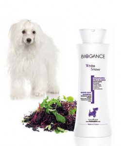 biogancepoilsblancs.jpg