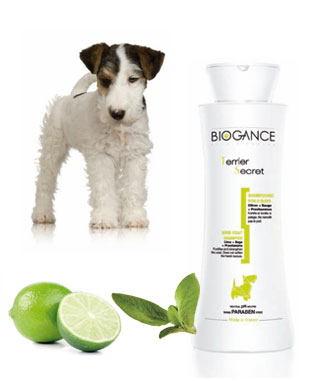biogancepoilsdur.jpg